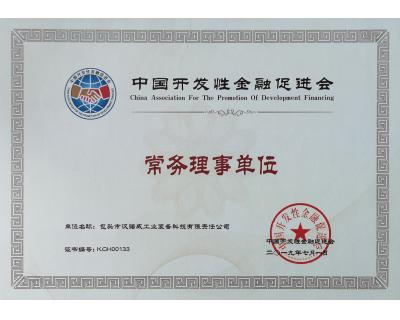 中國(guó)開發(fā)性金融促進(jìn)會(huì)常務(wù)理事