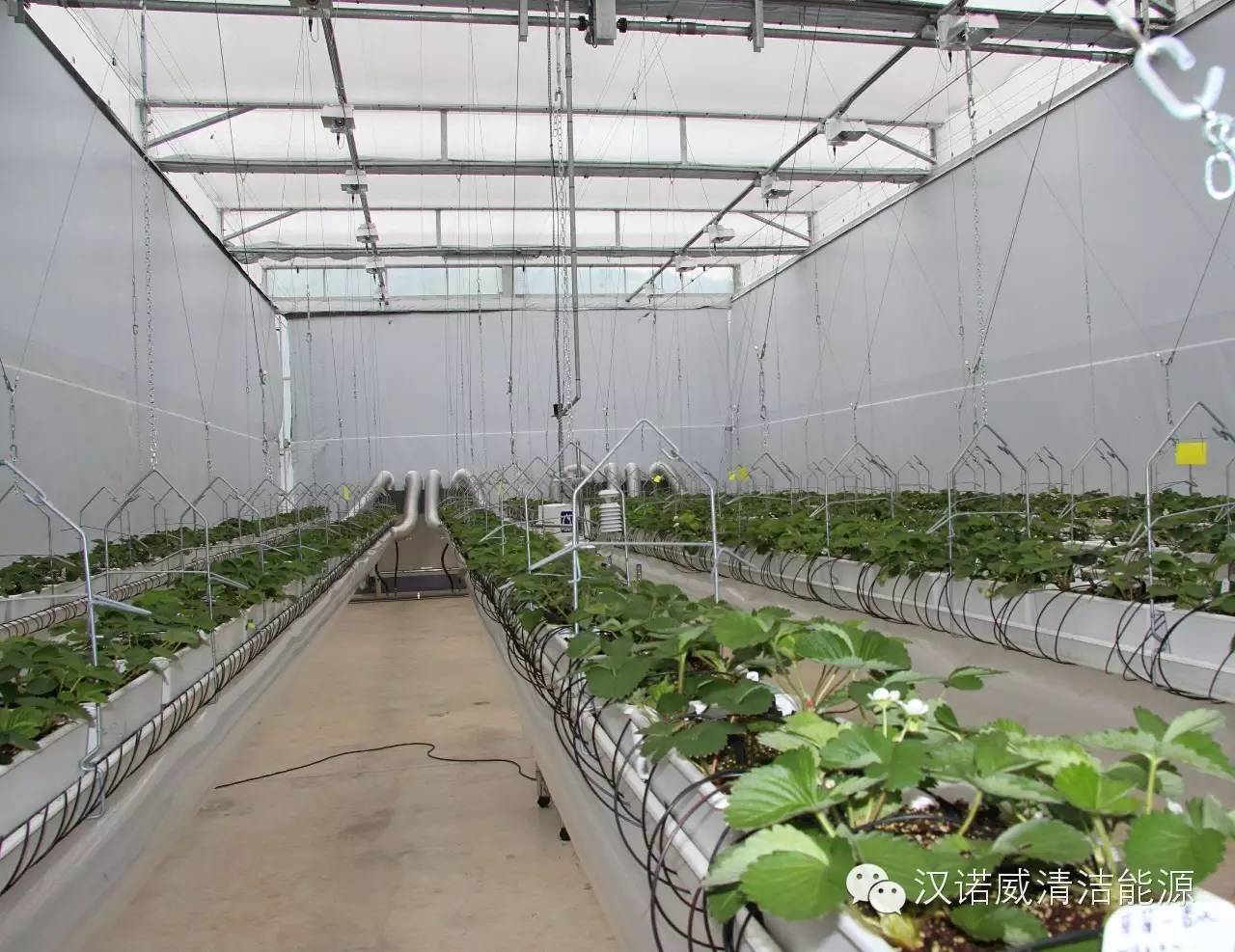 漢諾威清潔能源 漢諾威清潔能源